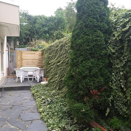 Apartamento Con Pequeno Jardin En El Centro Ferrol Extérieur photo